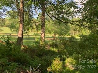 LOTS 1 & 2 COUNTRY CLUB ROAD # 1 & 2, HENDERSONVILLE, NC 28739, photo 3 of 12
