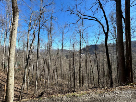 LOT 38 EAGLES RIDGE ROAD # 38, DILLSBORO, NC 28725 - Image 1