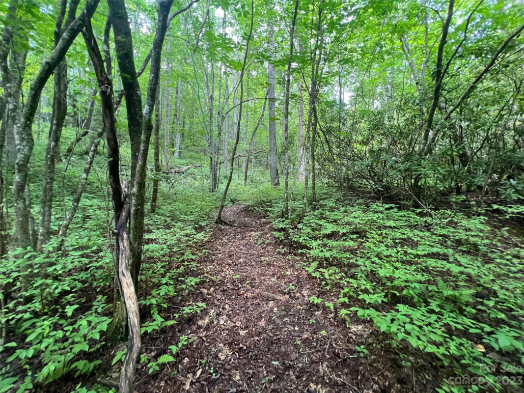 0000 MARSHALL LAKE ROAD, CEDAR MOUNTAIN, NC 28718, photo 1 of 27