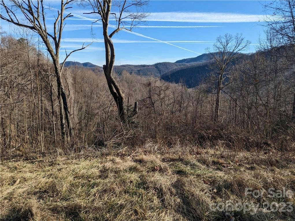 117 IRONWOOD LN # C-20, BLACK MOUNTAIN, NC 28711, photo 1 of 12