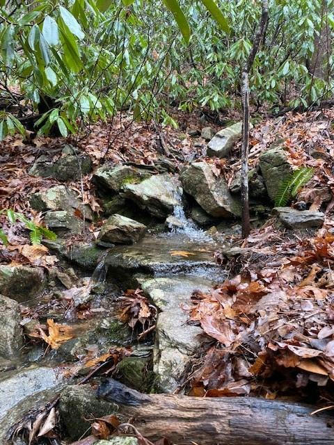 LOT 58 LOST PANTHER ROAD # 58, BREVARD, NC 28712, photo 1 of 5