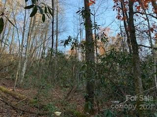 TRACTS OFF PLEASANT GROVE PLEASANT GROVE ROAD # TOTAL: 10.01 ACRES, HENDERSONVILLE, NC 28739, photo 3 of 21