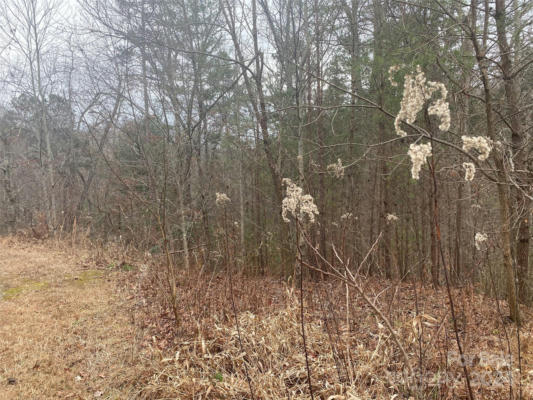 LT 4B TRILLIUM HEIGHTS TRACE, BRASSTOWN, NC 38902, photo 2 of 10