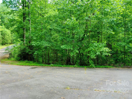 LOT 2072 ANTHONY COURT, MILL SPRING, NC 28756, photo 3 of 17