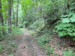 000 BLACKBERRY LANE, BURNSVILLE, NC 28714, photo 5 of 13