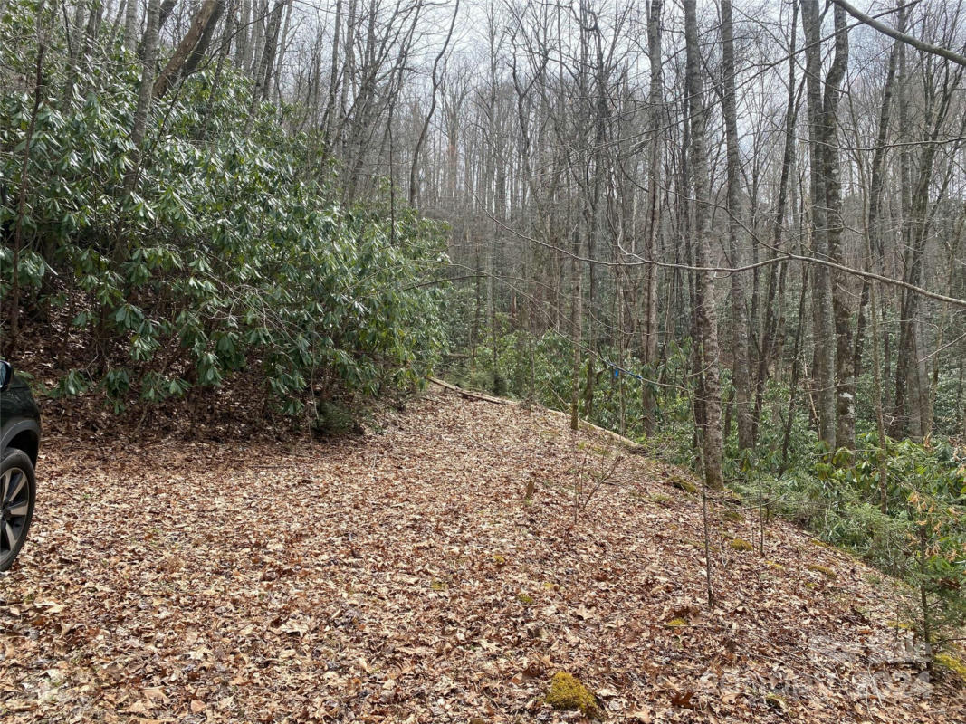 LOT 2 LAKE RIDGE LANE, TOPTON, NC 28781, photo 1 of 10