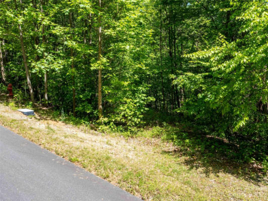 LOT 2111 HARM CREEK LOOP, MILL SPRING, NC 28756, photo 3 of 6