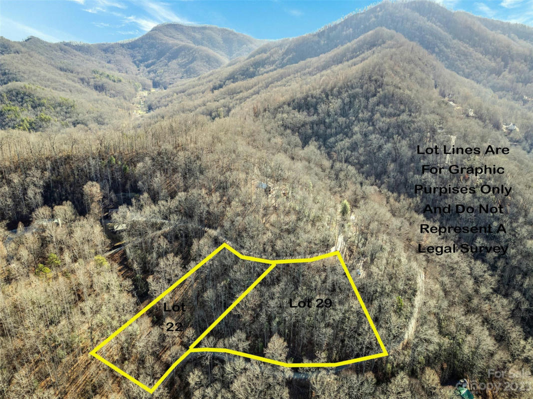 000 TURTLE CREEK ROAD, SYLVA, NC 28779, photo 1 of 6