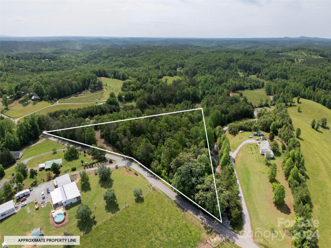 00 BIG LEVEL ROAD, MILL SPRING, NC 28756, photo 1 of 11