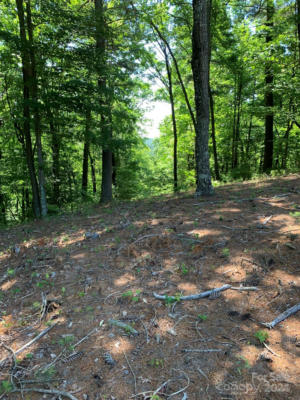 LOT 201 MEADOW CROSSING LANE, MCGRADY, NC 28649 - Image 1