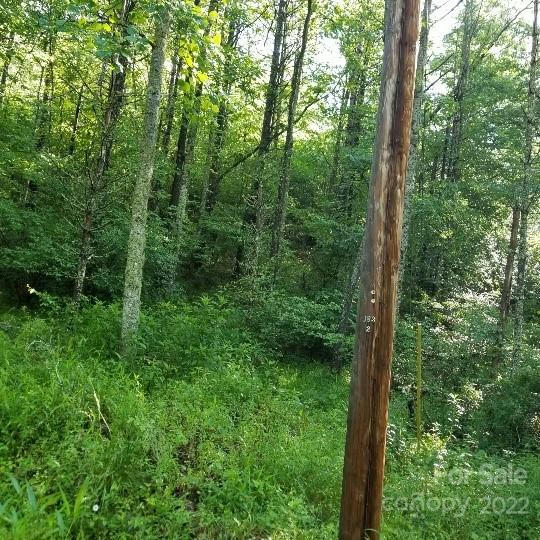 TBD CABIN HILL ROAD # 12, GREEN MOUNTAIN, NC 28740, photo 1 of 48