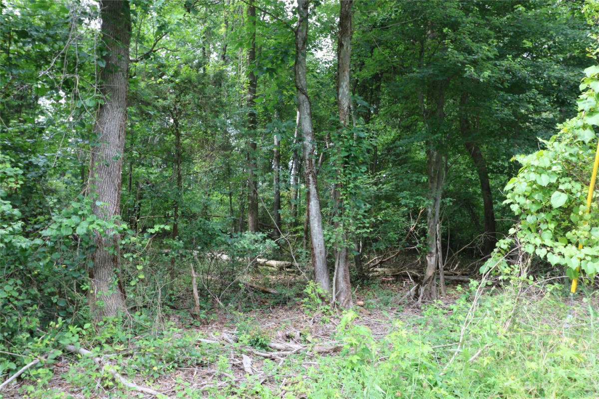 LOT 19 COMMERCIAL DRIVE, FOREST CITY, NC 28043, photo 1 of 3