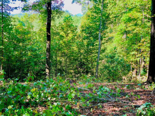 1.85 ACRES, LOT 925 HIGH VALLEY WAY # LOT 925, LENOIR, NC 28645, photo 2 of 42