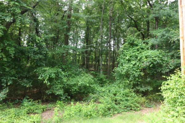 LOT 20 COMMERCIAL DRIVE, FOREST CITY, NC 28043, photo 4 of 4