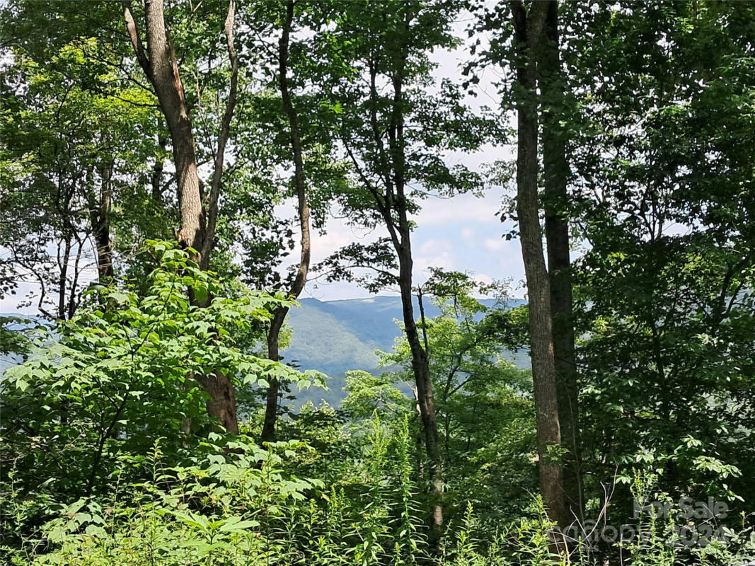 00 HURRICANE RIDGE TRACE # 53, CLYDE, NC 28721, photo 1 of 15