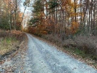 TRACTS OFF PLEASANT GROVE PLEASANT GROVE ROAD # TOTAL: 10+ ACRES, HENDERSONVILLE, NC 28739, photo 1 of 23