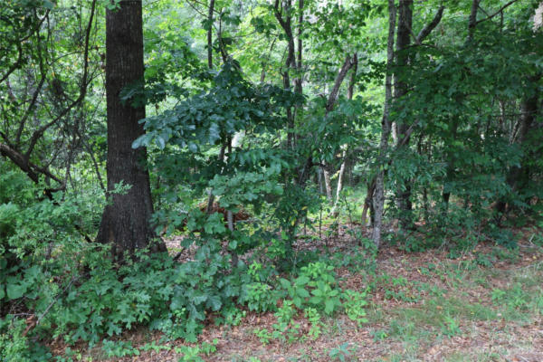 LOT 22 COMMERCIAL DRIVE, FOREST CITY, NC 28043, photo 2 of 2