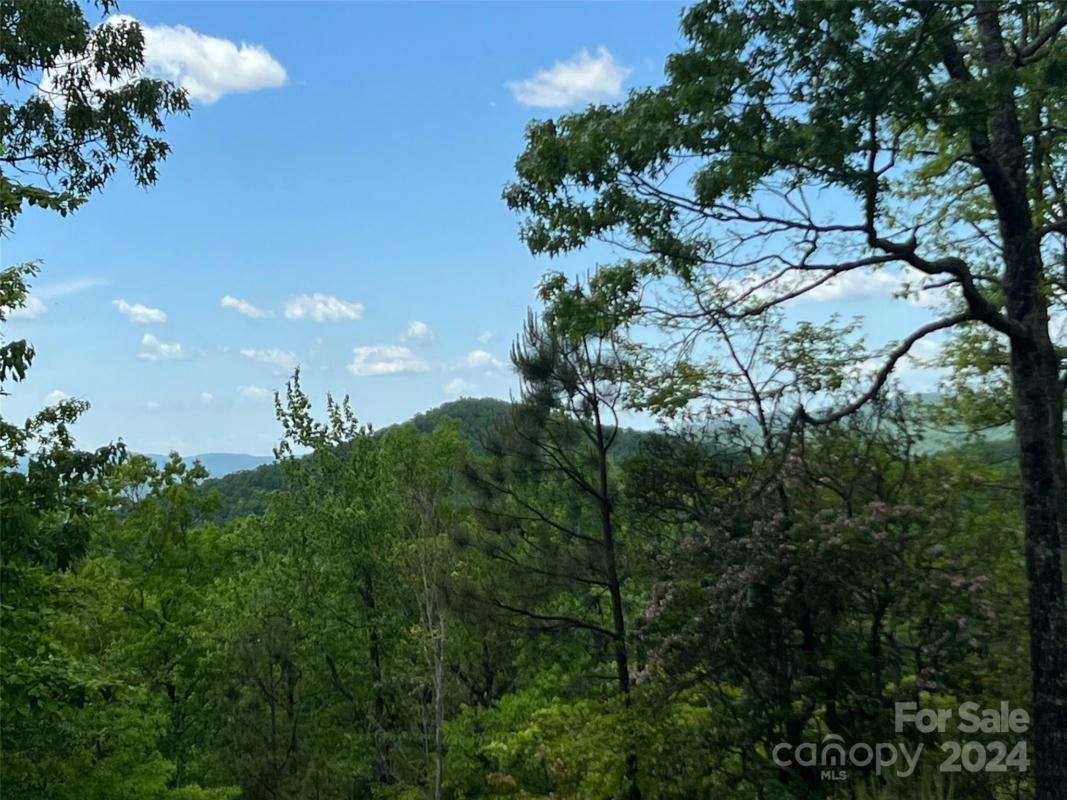 999 OLD IVY LANE, PISGAH FOREST, NC 28768, photo 1 of 16