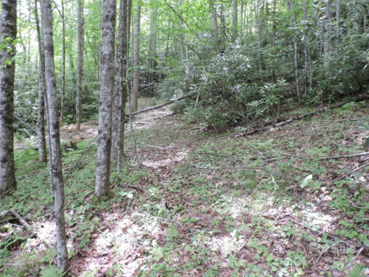 00 SOUTH TOE RIVER ROAD # LOT 2, BURNSVILLE, NC 28714, photo 5 of 28