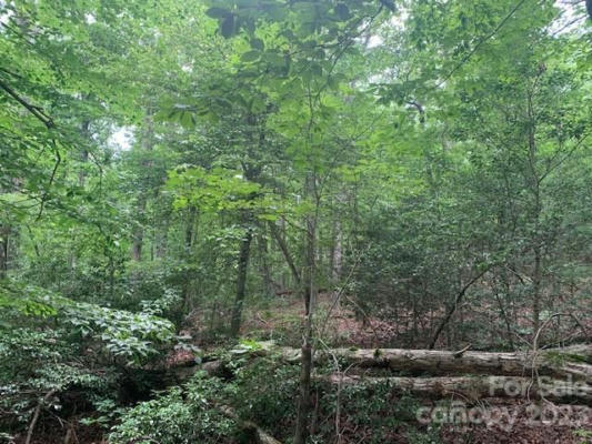 999999 HOLBERT COVE DRIVE, SALUDA, NC 28773, photo 4 of 9