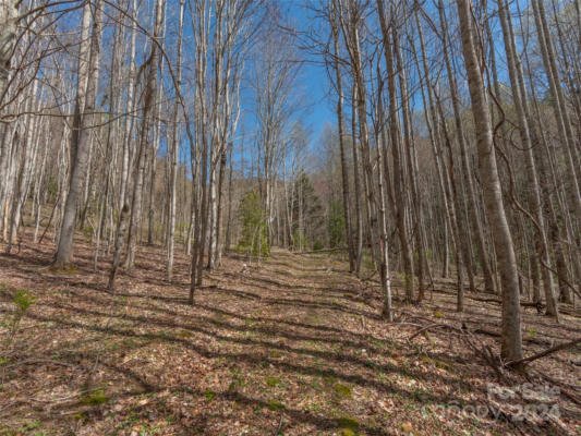 00 SHEEPBACK MOUNTAIN ROAD, MAGGIE VALLEY, NC 28751, photo 4 of 13