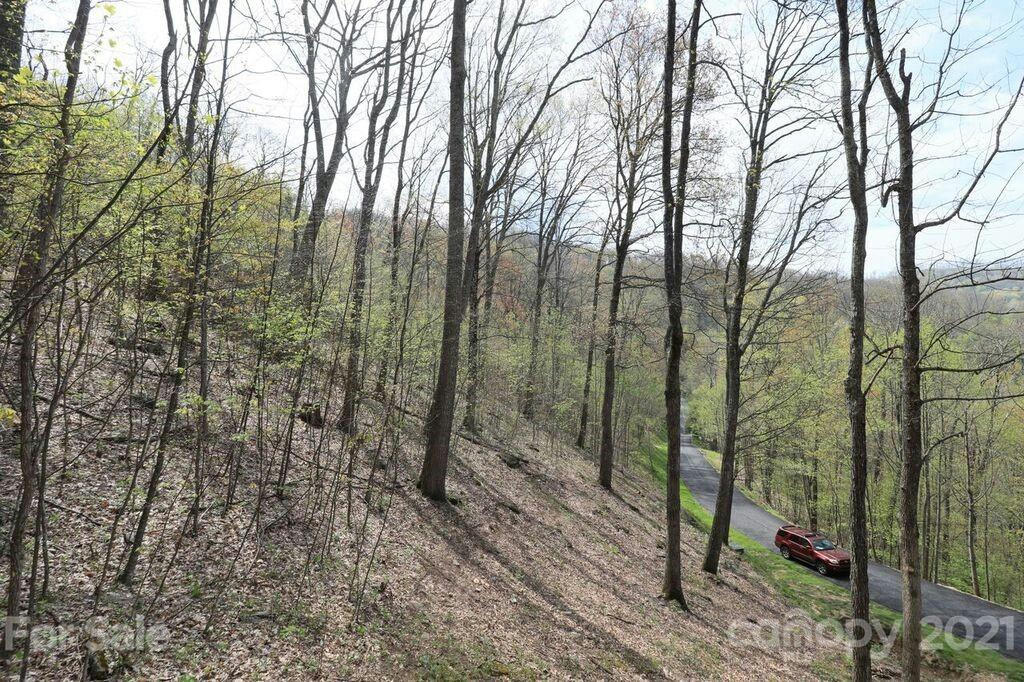 LOT 20 CLIFF'S EDGE DRIVE, BURNSVILLE, NC 28714, photo 1 of 13