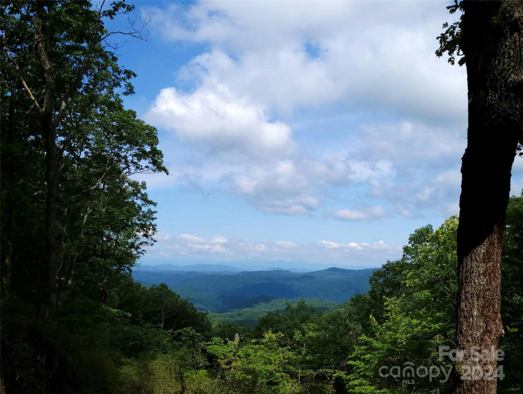 6 MILLER MOUNTAIN RD, SALUDA, NC 28773, photo 1 of 13