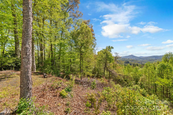 430 TROTTER TRL, GREEN MOUNTAIN, NC 28740 - Image 1