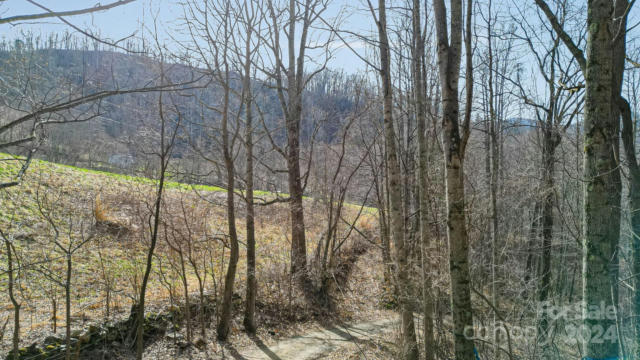 66 MCDARIS COVE RD, WEAVERVILLE, NC 28787, photo 5 of 9