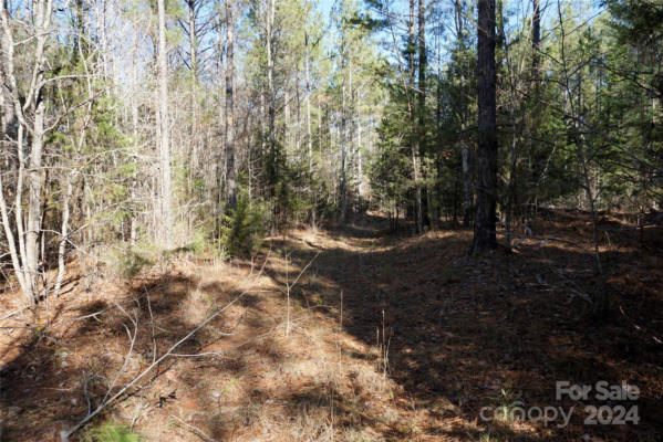 4+/- AC SKYLINE RD LOT #1 SKYLINE ROAD # 1, CHESTER, SC 29706, photo 4 of 7