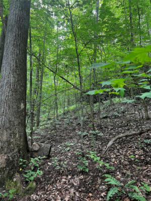 00 JARRELL LOOP, OLD FORT, NC 28762, photo 3 of 6