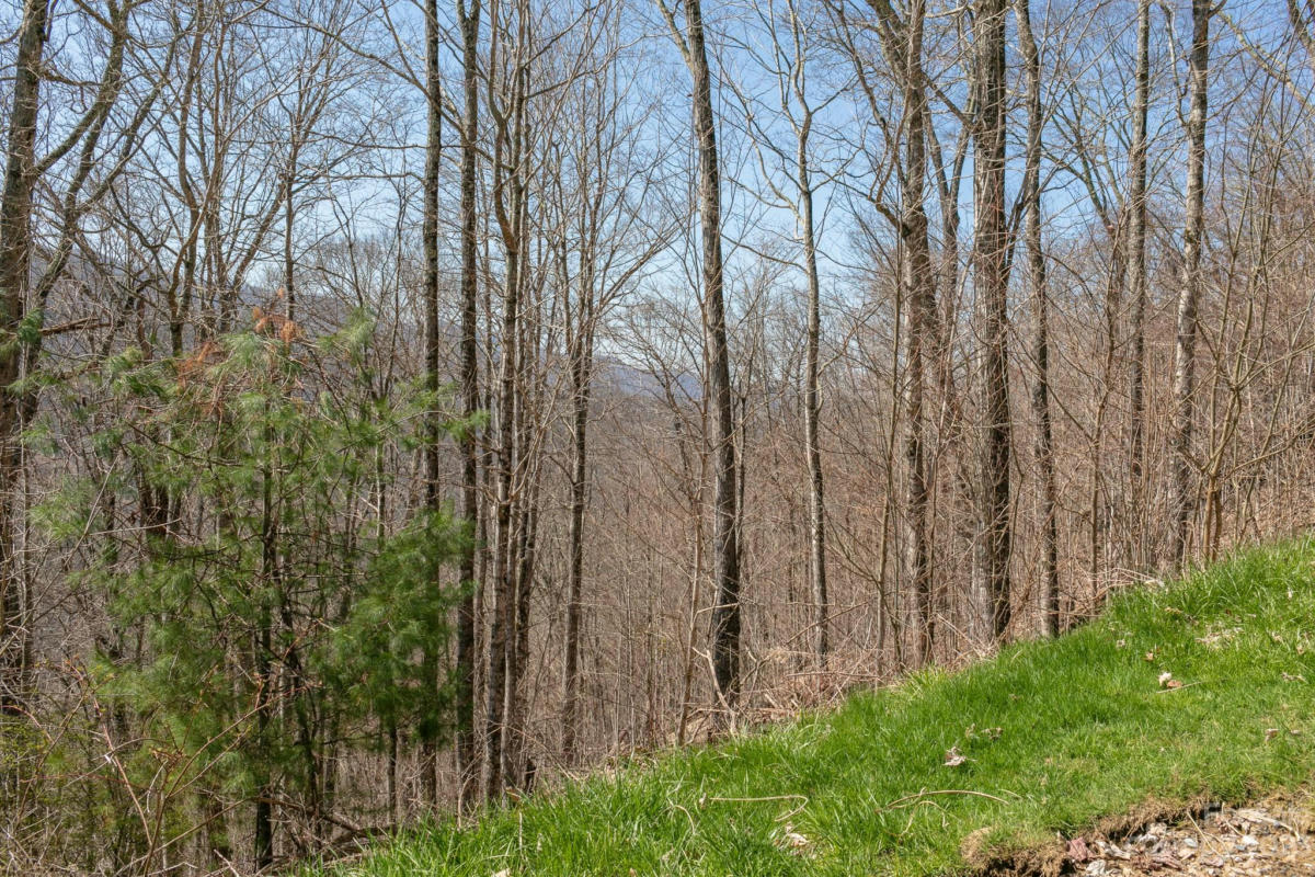 LOT 13 AUSTIN MOUNTAIN DRIVE # 13/3, BURNSVILLE, NC 21714, photo 1 of 15