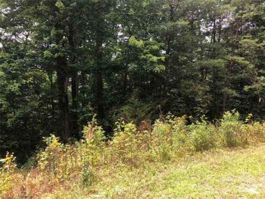 0 CROSSINGS DRIVE S # LOT 5A, MARION, NC 28752 - Image 1