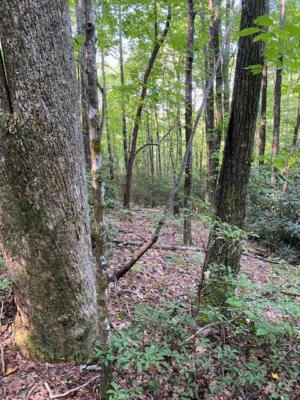 LOT 58 LOST PANTHER ROAD # 58, BREVARD, NC 28712, photo 3 of 5