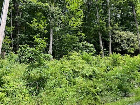 19 GARDENSIDE RD, MARS HILL, NC 28754, photo 3 of 26