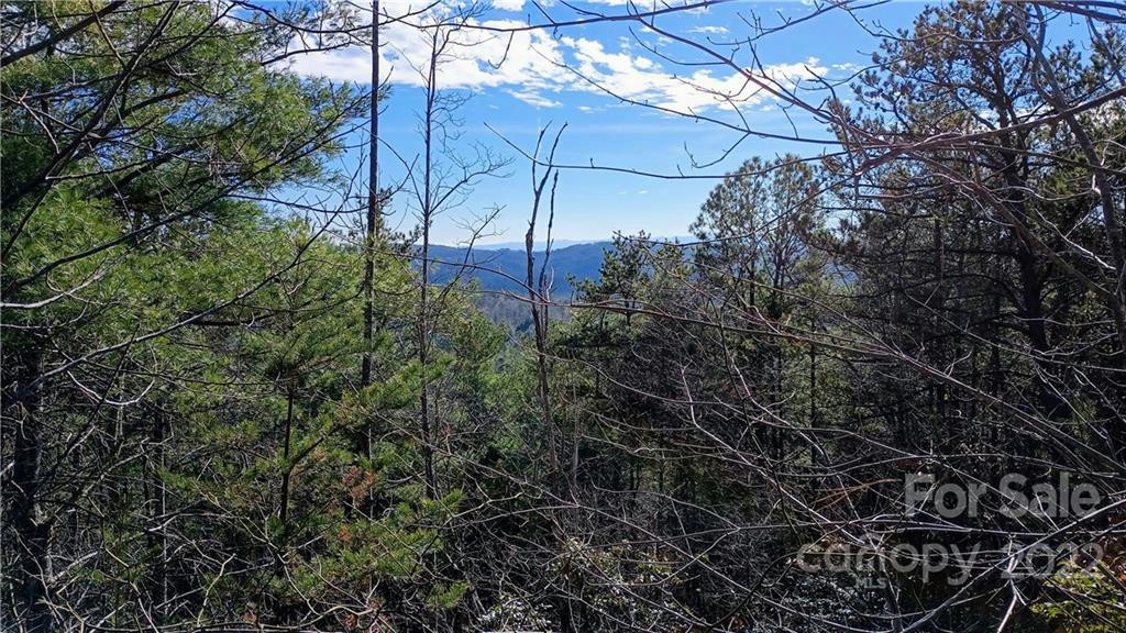 3 ACRES TOMAHAWK RIDGE DRIVE # 45/46, LENOIR, NC 28645, photo 1 of 17