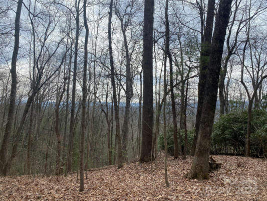LOT W13 CURTAIN BLUFF, HENDERSONVILLE, NC 28791, photo 3 of 5