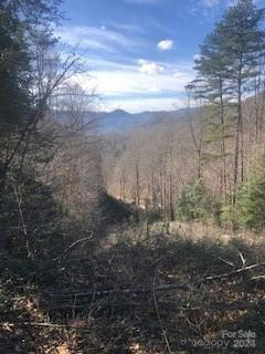 LOT 7 SECTION 10 JULALBO ROAD # LOT 7, SEC 10, WHITTIER, NC 28789 - Image 1