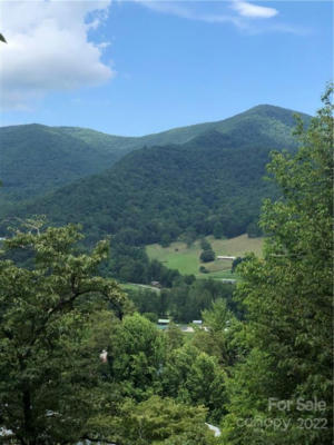 24 LADY BUG LN, MAGGIE VALLEY, NC 28751, photo 2 of 9