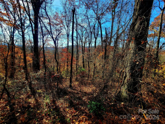 000 RISING VIEW DRIVE # 114, HENDERSONVILLE, NC 28791, photo 3 of 20