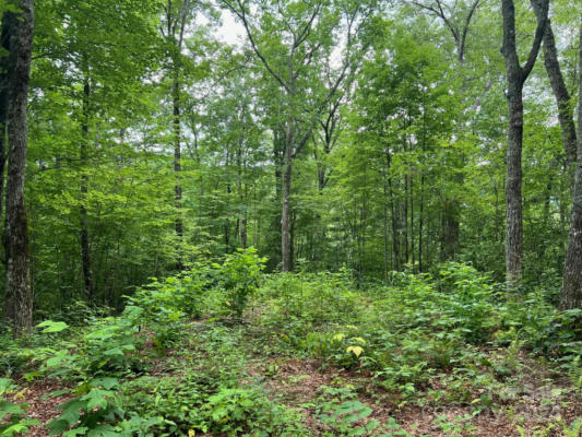 3 HIGH FRONTIER TRL, ROBBINSVILLE, NC 28771 - Image 1