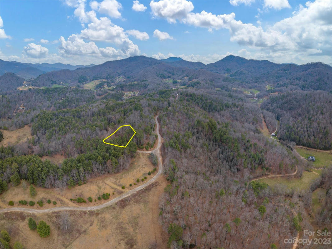 LOT 7 WILDLIFE DRIVE, CLYDE, NC 28721, photo 1 of 5
