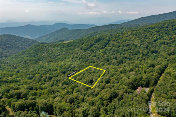 TBD MULE TRAIL ROAD, BAKERSVILLE, NC 28705 - Image 1