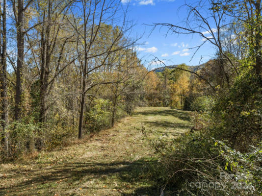 TBD FRESH WATER ROAD, LEICESTER, NC 28748 - Image 1