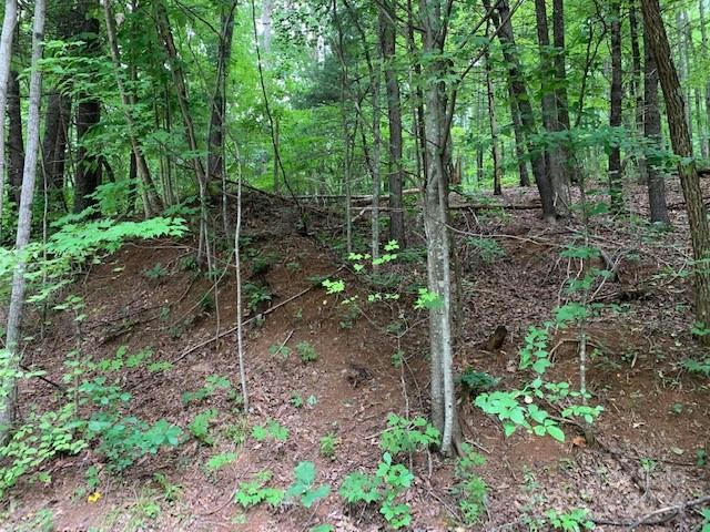 LOT 49-50 MCKENZIE WAY S, OLD FORT, NC 28762, photo 1 of 9