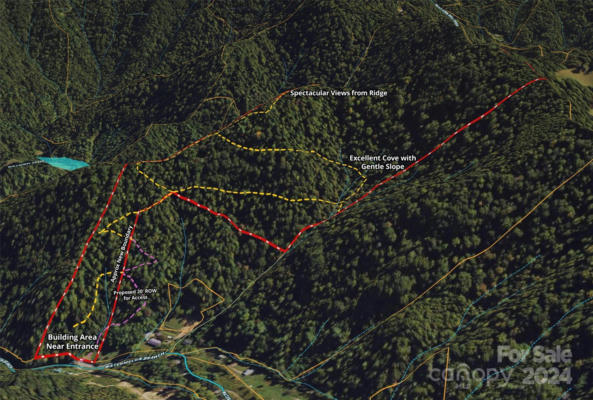 46 +/- ACRES JARRETT COVE ROAD, MARSHALL, NC 28753 - Image 1