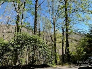 7A CHESTNUT FLATS RD # 7, WAYNESVILLE, NC 28786, photo 4 of 9