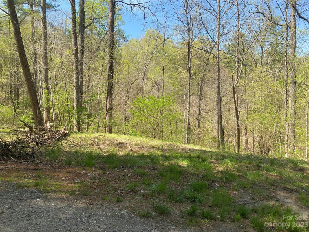 LOT 3 CABIN HILL ROAD, BURNSVILLE, NC 28714, photo 1 of 9