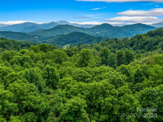 9999 POINT OF VIEW DRIVE # 3, WAYNESVILLE, NC 28785 - Image 1