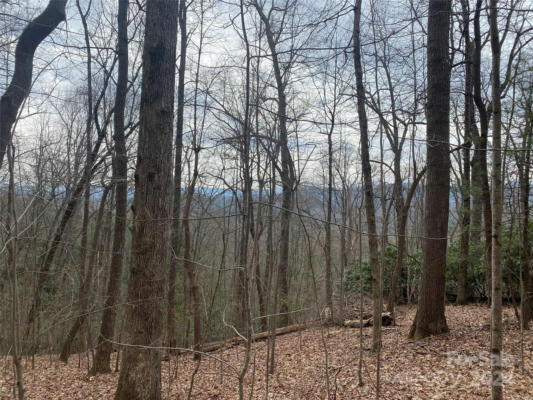LOT W13 CURTAIN BLUFF, HENDERSONVILLE, NC 28791 - Image 1